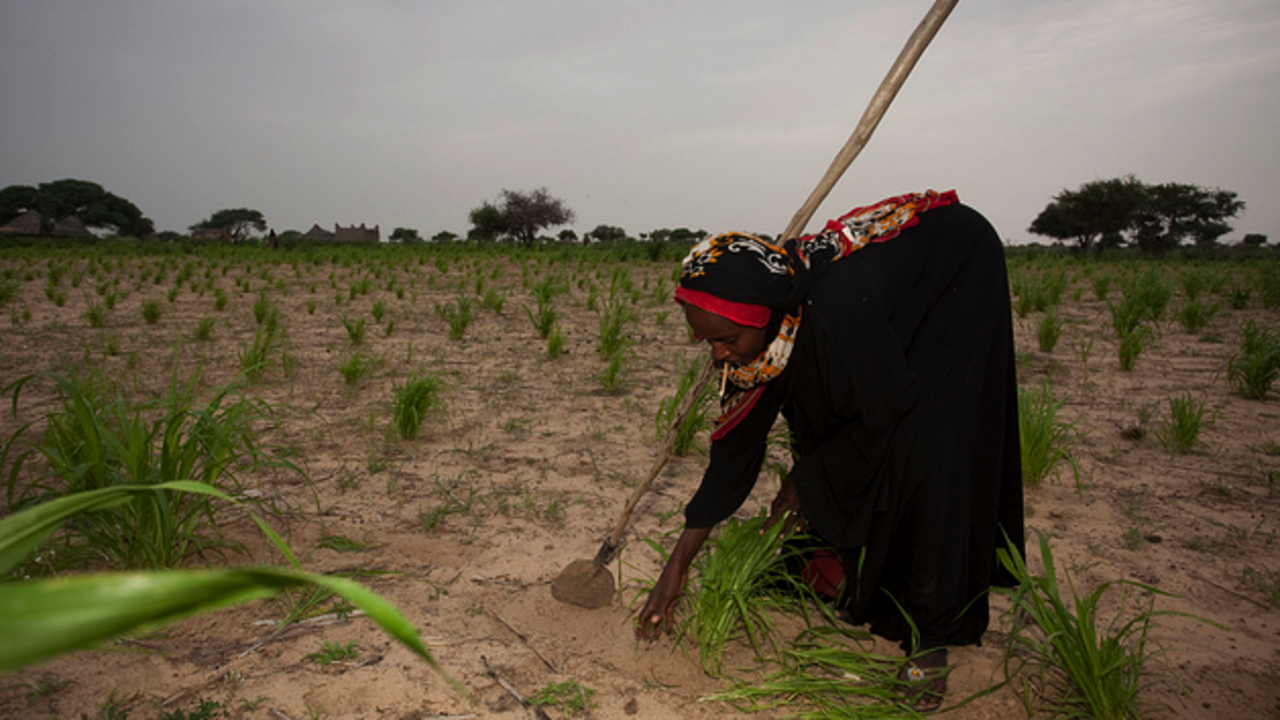 Journée internationale de la femme le rôle crucial de la femme rurale